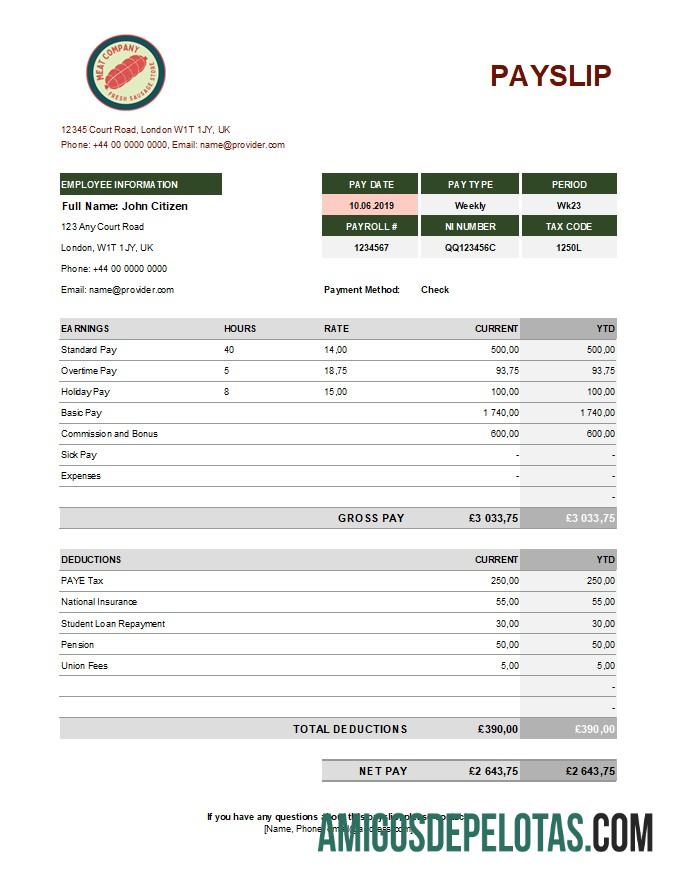 Demonstrativo de ganhos da Food Meat Company em formatos Excel e PDF modelo